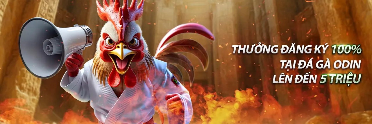 Hình ảnh đối tác 11vn win